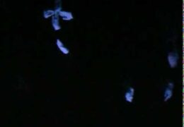 Glove Choreography