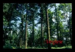 Yeshu En Manaalan Varum