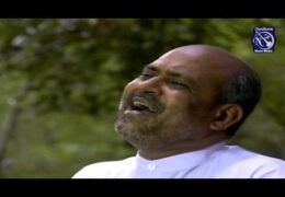 Raja Neer Seitha Nanmaigal