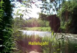 Hear My Song