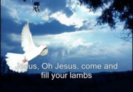 O Let the Son of God Enfold You