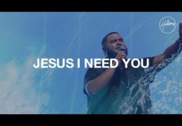 Jesus I Need You