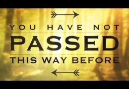 You Have Not Passed This Way Before