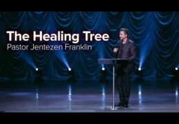 The Healing Tree