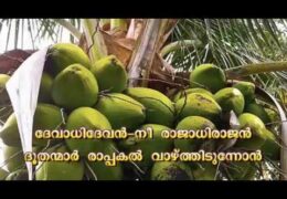 ദേവാധിദേവൻ നീ രാജാധിരാജൻ