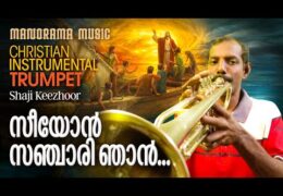 സീയോൻ സഞ്ചാരി ഞാൻ