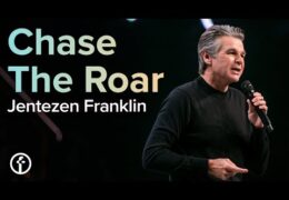 Chase the Roar