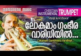 ലോകമാം ഗംഭീരവാരിധിയിൽ