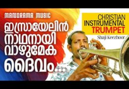 ഇസ്രയേലിൻ നാഥനായി വാഴുമേക ദൈവം