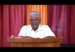 നിറമണികളും പതിരും