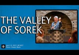 The Valley of Sorek