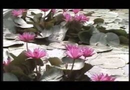 Unnathamanavarin Uyar Maraivil